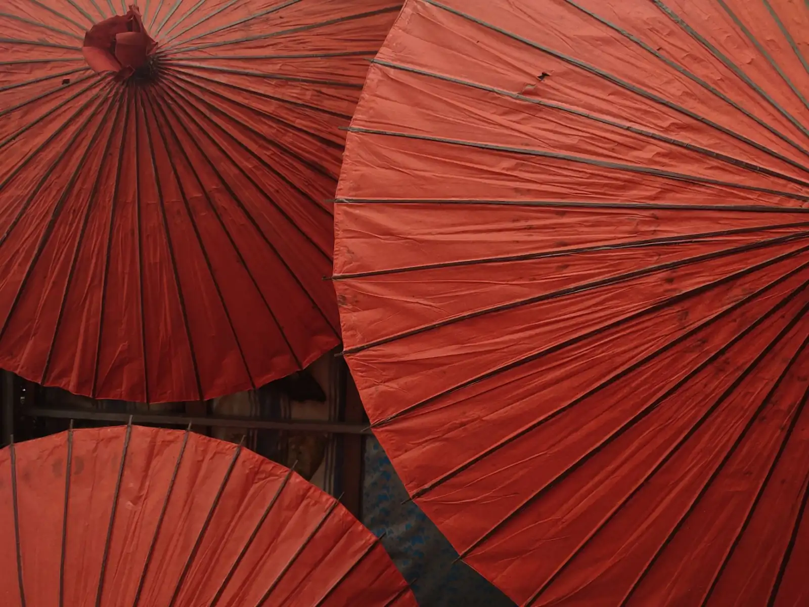 深圳乐福衡器电子秤产品系列型号与参数对比解析