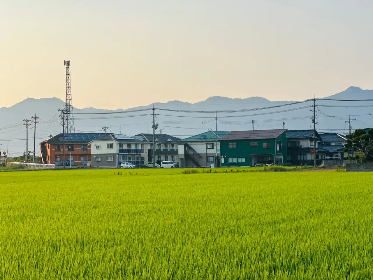 厨房秤与珠宝秤称重精度差异及选型指南
